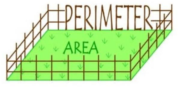 perimeter perimeter