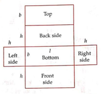 measurement measurement