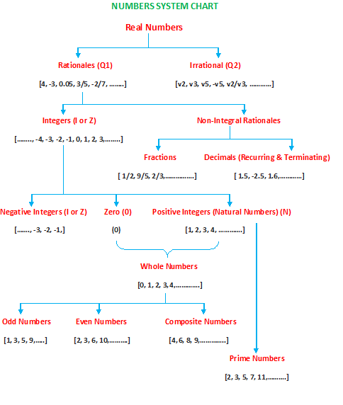 what is real number with example class 9